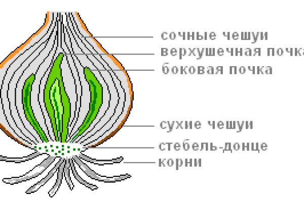 Тор для кракена